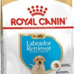 Royal Canin Labrador Retriever Puppy