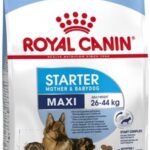 Royal Canin Maxi Starter