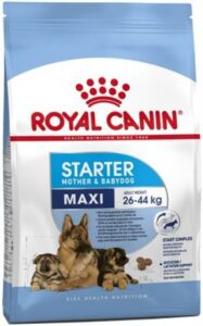 Royal Canin Maxi Starter