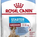 Royal Canin Medium Starter