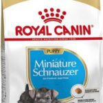 Royal Canin Miniature Schnauzer Puppy