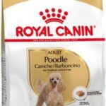 Royal Canin Poodle Adult