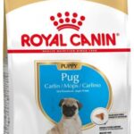 Royal Canin Pug Puppy