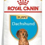 Royal Canin Puppy Dachshund