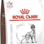 Royal Canin Veterinary Diet Gastrointestinal