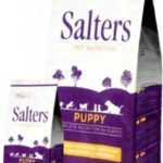 Salters Puppy