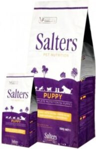Salters Puppy