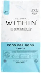 Within Adult & Senior Dry Salmon