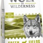 Wolf Of Wilderness Dry Adult