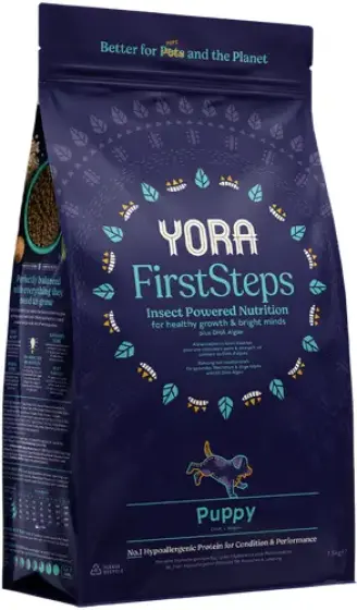 Yora First Steps review