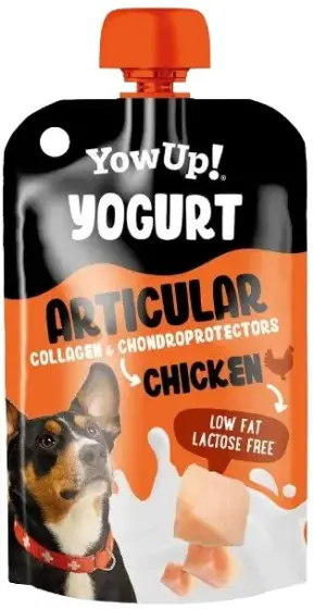 YowUp Yogurt Articular review
