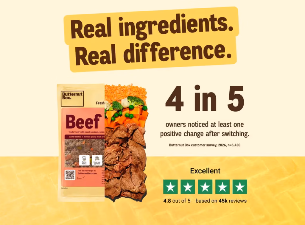 Butternut Box Beef It Up review